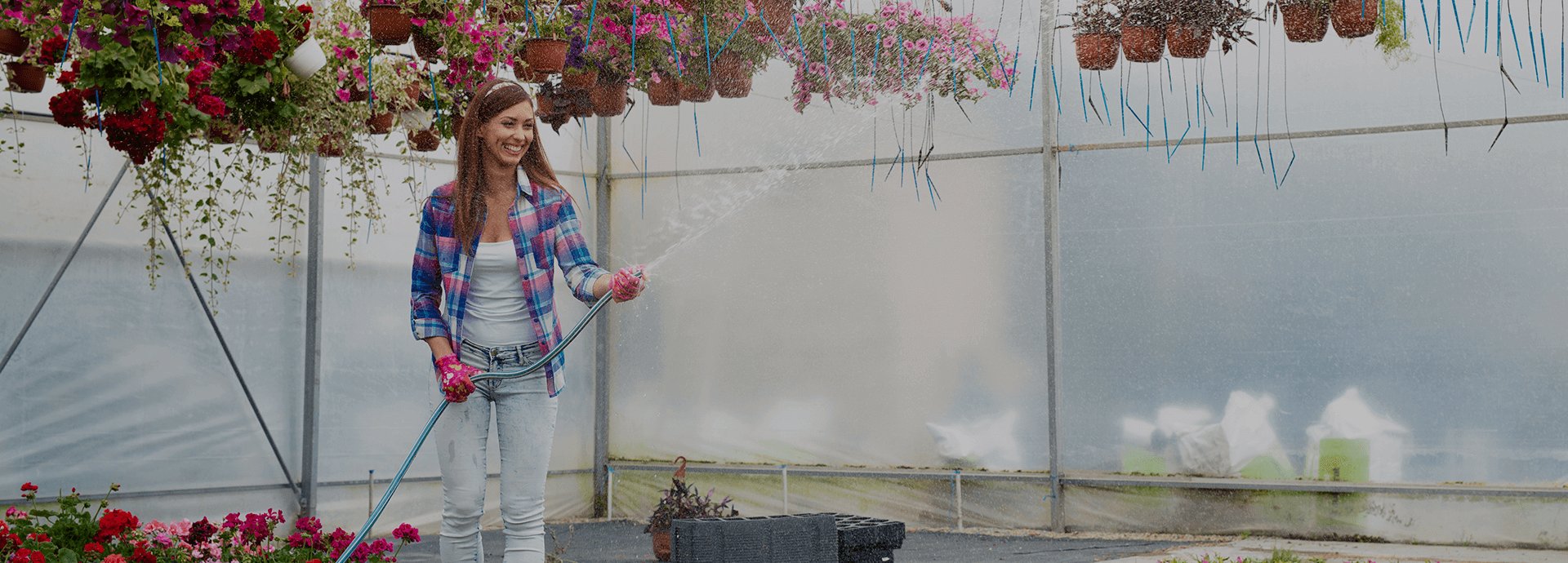 How To Plant Your Favorite Tree In The Best Pot